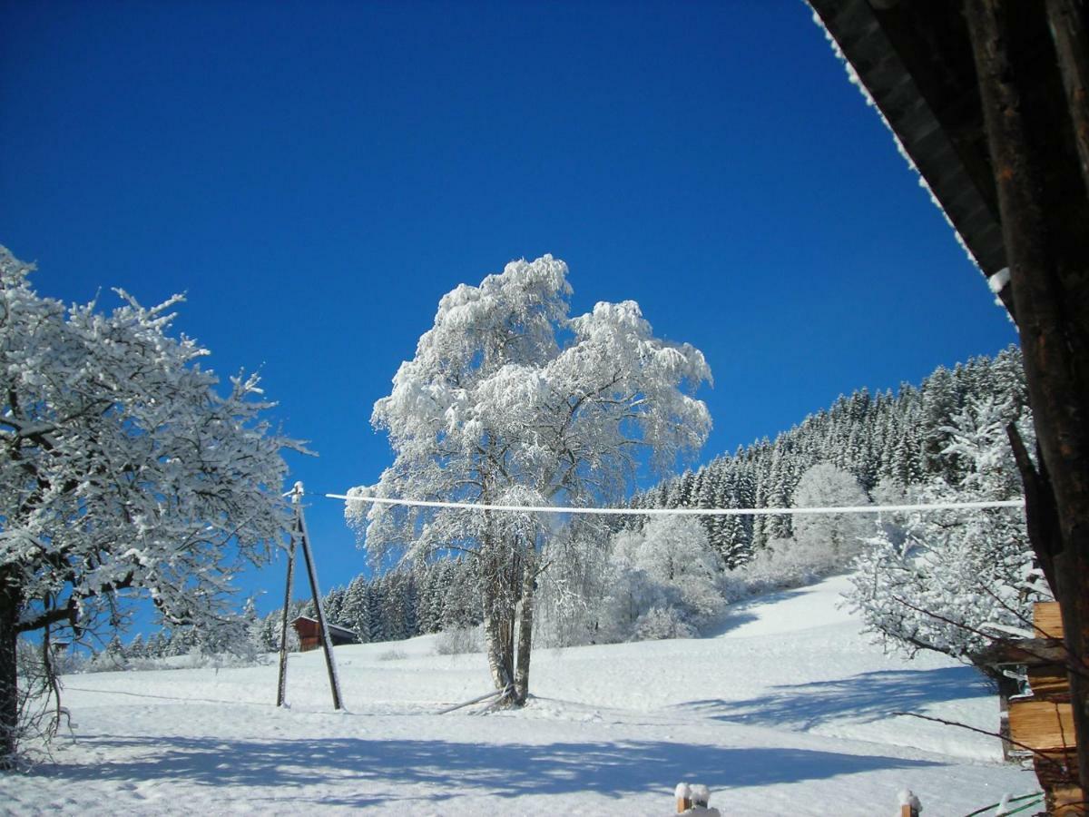 Ferienwohnung Muhlbauer Wald im Pinzgau Exterior photo